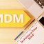 On-Premise Master Data Management Solutions: A Comprehensive Analysis