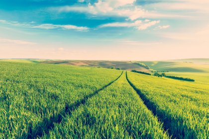 Aggiornamento di Entity Manager per una gestione dei dati più intelligente e veloce