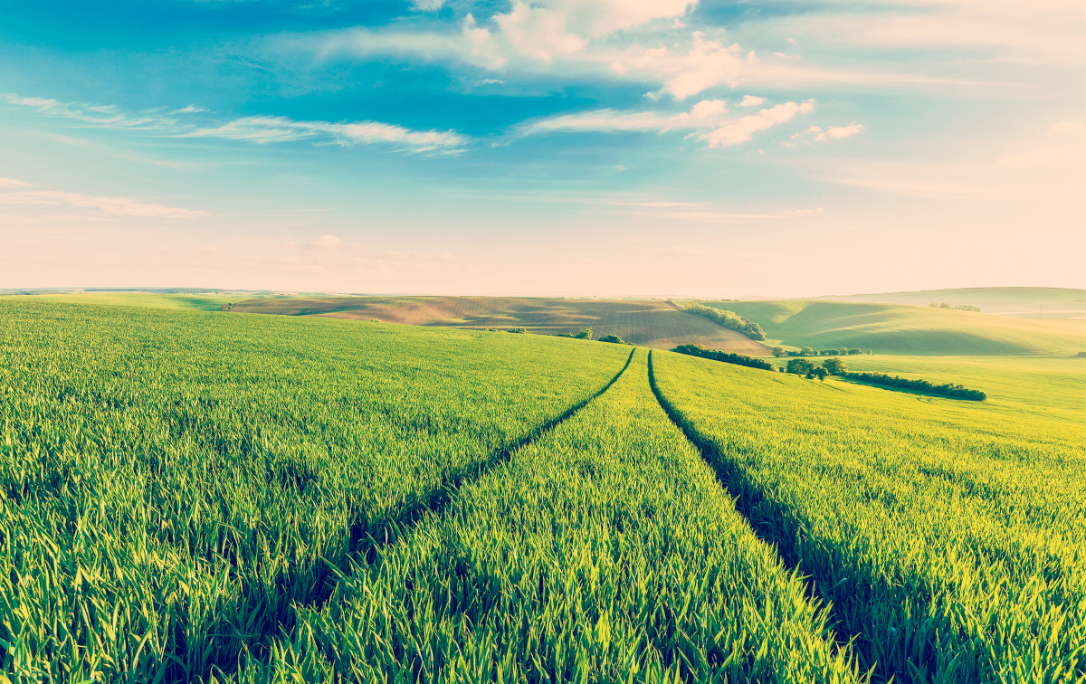 Mise à jour d'Entity Manager pour un traitement plus intelligent et plus rapide des données