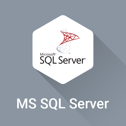 MS SQL Server PIM Connector for AtroPIM