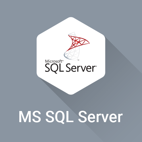 MS SQL Server PIM Connector for AtroPIM MS SQL Server PIM Connector for AtroPIM