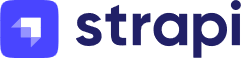Strapi ERP Integration